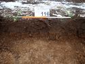 Thumbnail of Photo P1260146 Trench 116 representative section