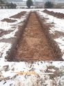Thumbnail of Photo P1260149 Trench 86 W no board