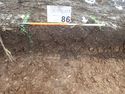 Thumbnail of Photo P1260152 Trench 86 representative section