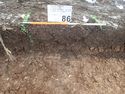 Thumbnail of Photo P1260153 Trench 86 representative section