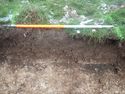 Thumbnail of Photo P1260160 Trench 118 representative section no board