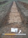 Thumbnail of Photo P1270161 Trench 83 N