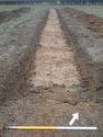 Thumbnail of Photo P1270162 Trench 83 N no board