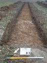 Thumbnail of Photo P1270163 Trench 83 S