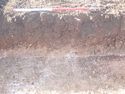 Thumbnail of Photo P2190201 Trench 90 representative section no board