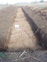 Thumbnail of Photo P2190207 Trench 93 N no board