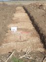 Thumbnail of Photo P2190210 Trench 93 S