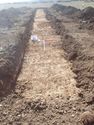 Thumbnail of Photo P2190211 Trench 93 S no board