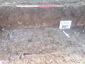 Thumbnail of Photo P2190218  Trench 87 representative section