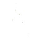 Thumbnail of Survey of Samples Taken