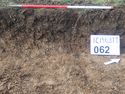 Thumbnail of Photo P2130128  Trench  62 representative section