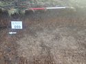 Thumbnail of Photo P2140132 Trench  69 representative section