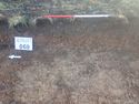 Thumbnail of Photo P2140133 Trench  69 representative section no board