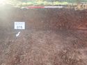 Thumbnail of Photo P2140137 Trench  76 representative section