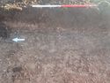 Thumbnail of Photo P2140144 Trench  75 representative section no board