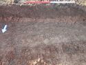 Thumbnail of Photo P2140148 Trench  74 representative section no board