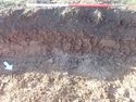 Thumbnail of Photo P2140152  Trench  72 representative section no board