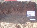 Thumbnail of Photo P2140159  Trench  63 representative section