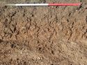Thumbnail of Photo P2140178 Trench  68 representative section no board