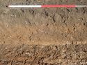Thumbnail of Photo P2140182 Trench  77 representative section no board