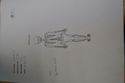 Thumbnail of DSC_0006 (16) (Skeleton Number 1276)