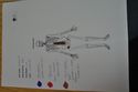 Thumbnail of DSC_0010 (1) (Skeleton Number 1184)