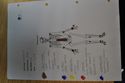 Thumbnail of DSC_0019 (3) (Skeleton Number 1205)