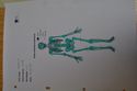 Thumbnail of DSC_0026 (1) (Skeleton Number 1252)