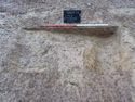 Thumbnail of View S, S. 1016, ditches [1041] & [1064] & pit [1066] 1x1m
