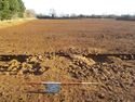 Thumbnail of View NE, corndrier {1116} 1x2m