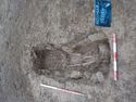 Thumbnail of View SW, SK.1184 1x1m & 1x2m