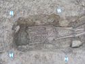 Thumbnail of Top view SK.1184 Photogrammetry