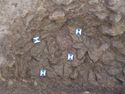Thumbnail of SK.1191 Photogrammetry
