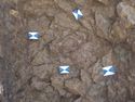 Thumbnail of SK.1191 Photogrammetry