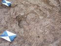 Thumbnail of SK.1191 Photogrammetry