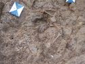 Thumbnail of SK.1191 Photogrammetry
