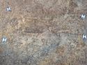 Thumbnail of Sk.1199 Photogrammetry