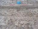 Thumbnail of View W S.1059 Ditches [1364] 1x2m WB