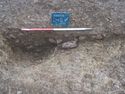 Thumbnail of View SE S. 1078 North West Facing section of Post Hole [1445] 1x1m WB