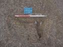 Thumbnail of View W S. 1079 Pit and Post hole [1448] and [1450] 1x1m WB - Board reads S. 1089 view to E