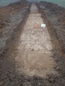 Thumbnail of Photo P2040025 Trench 37 S facing