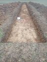 Thumbnail of Photo P2040036 Trench 33 representative section no board