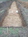 Thumbnail of Photo P2050048 Trench 29 NE facing