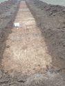 Thumbnail of Photo P2050057 Trench 25 S facing