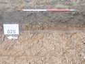 Thumbnail of Photo P2050059 Trench 25 representative section