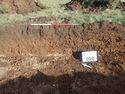 Thumbnail of Photo P2070095 Trench 20 representative section