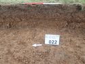 Thumbnail of Photo P2070101 Trench 22 representative section