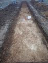 Thumbnail of Photo P2080105 Trench 27 E facing