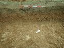 Thumbnail of Photo P1310008 Trench 38 representative section no board