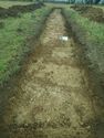Thumbnail of Photo P2040018 Trench 57 S facing
